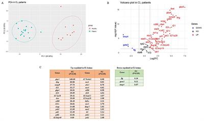 Intralesional gene expression profile of JAK-STAT signaling pathway and associated cytokines in Leishmania tropica-infected patients